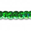 Şnur paiete verde, 6mmx6m - Meyco 207-43