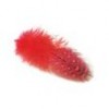 Pene bibilica de Guineea, 6/8cm, 24buc/pac, violet, Meyco 24051