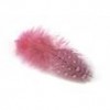 Pene bibilica de Guineea, 6/8cm, 24buc/pac, roz, Meyco 24053