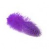 Pene bibilica de Guineea, 6/8cm, 24buc/pac, lila, Meyco 24054
