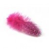 Pene bibilica de Guineea, 6/8cm, 24buc/pac, fuchsia, Meyco 24055