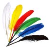 Pene indian, 14cm, 20buc/pac, 5culori amestecate, Meyco 24073